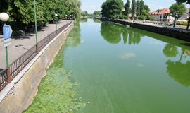 Danės upė mėlynuoja