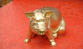 Jūros šventė 2010 įsisiūbuoja