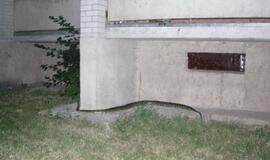 Kalnupės gatvėje naktį rastas smauglys