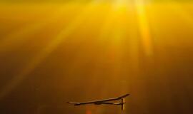 Saulės baterijų varomo lėktuvo bandomasis skrydis