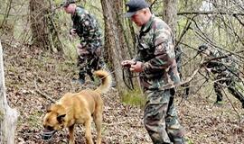 Drąsiaus Kedžio ieškoję pareigūnai - tinkami eiti pareigas