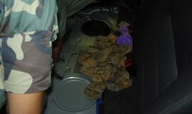 Pasienyje sulaikyta gintaro kontrabanda