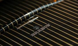 "Biuras" ant ratų: "Apple" ir "Brabus" sedanas "iBusiness"