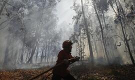 Portugalijos ugniagesiai kovoja su miškų gaisrais
