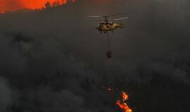 Portugalijos ugniagesiai kovoja su miškų gaisrais