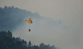 Portugalijos ugniagesiai kovoja su miškų gaisrais