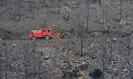 Portugalijos ugniagesiai kovoja su miškų gaisrais