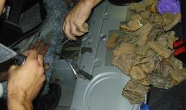 Pasienyje sulaikyta gintaro kontrabanda