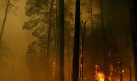 Rusijos miškuose tęsiasi gaisrai, Maskvą toliau gaubia smogas