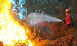 Portugalijos ugniagesiai kovoja su miškų gaisrais