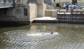 Nuo Biržos tilto į upę nušoko vyras