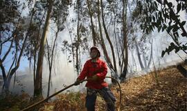 Portugalijos ugniagesiai kovoja su miškų gaisrais