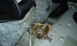 Pasienyje sulaikyta gintaro kontrabanda