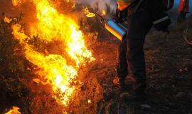 Portugalijos ugniagesiai kovoja su miškų gaisrais