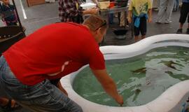 Klaipėdos senamiestyje -Žvejų gatvės šventė