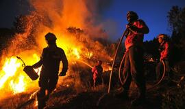 Portugalijos ugniagesiai kovoja su miškų gaisrais