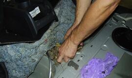 Pasienyje sulaikyta gintaro kontrabanda