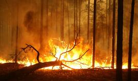 Rusijos miškuose tęsiasi gaisrai, Maskvą toliau gaubia smogas