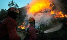 Portugalijos ugniagesiai kovoja su miškų gaisrais