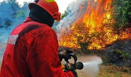 Portugalijoje liepsnoja miškai