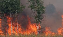 RSC: gaisrai Briansko srityje pavojaus Lietuvos gyventojų sveikatai nekelia