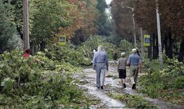 Škvalo nuostolius miškininkai vertina 10 mln. litų