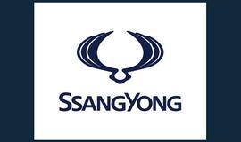 "SsangYong" nutarė parsiduoti indams