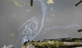 Danės upėje pastebėti naftos produktų teršalai