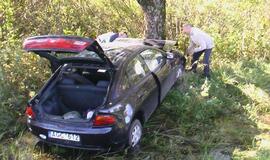 Kelyje neišsitekusį automobilį sustabdė medis