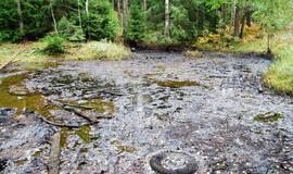 Kretingos rajono miške - naftos produktų ežeras