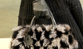 2010/2011 tendencija: glam-rock