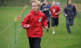 Klaipėdoje vyksta krosas dėl "Vakarų ekspreso" taurių