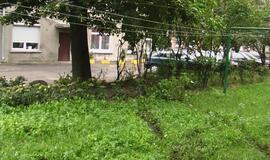 Supainiojusi pedalus klaipėdietė sudaužė automobilį