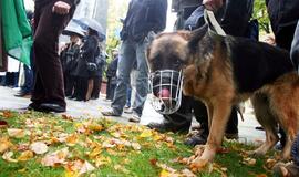 Vidaus reikalų sistemos darbuotojus protesto akcijoje palaiko ir keturkojis pensininkas