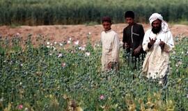 Afganistane dvigubai padaugėjo narkotikų gamybos laboratorijų