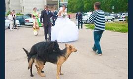 Bulvaras: tikėk - netikėk