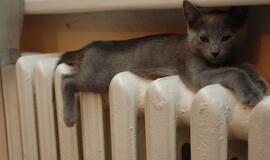 Dauguma lietuvių nedarė nieko, kad šildymui išleistų mažiau