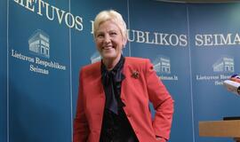 Irena Degutienė teigia nematanti galimybės pirmalaikiams Seimo rinkimams