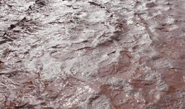 Tris Vengrijos kaimus užliejo nuodingos atliekos