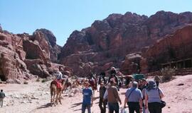 Raudonoji dykumų rožė Petra: stebuklai uolose