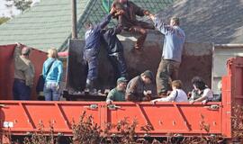 Tris Vengrijos kaimus užliejo nuodingos atliekos