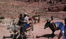 Raudonoji dykumų rožė Petra: stebuklai uolose