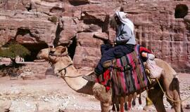 Raudonoji dykumų rožė Petra: stebuklai uolose