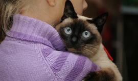 Gimnazijos auklėtiniai su augintiniais