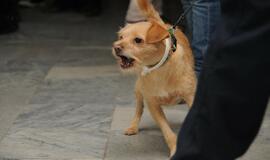 Gimnazijos auklėtiniai su augintiniais