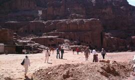 Raudonoji dykumų rožė Petra: stebuklai uolose