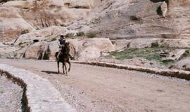 Raudonoji dykumų rožė Petra: stebuklai uolose