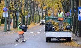 Rudeniniai lapai gatvėse kelia pavojų