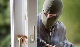 Vagies dosjė: 13-as teistumas - už 55 vagystes