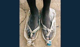 Bulvaras: tikėk - netikėk